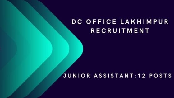 DC Office Williamnagar Recruitment