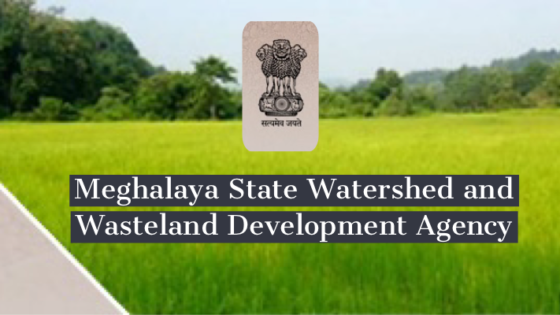 MSWWDA Shillong Recruitment 2022