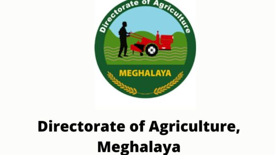 Jobs in Meghalaya