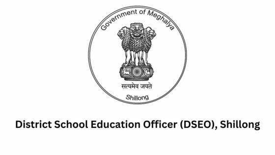 District School Education Officer (DSEO)